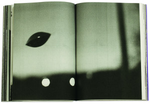 Urszula Przyłucka, Niebieska ksiązka, 2014