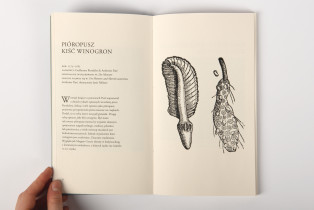 Sabina Labud, Potwory morskie 2025