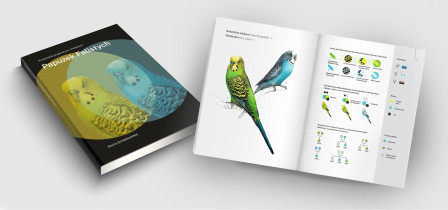 Wzornictwo  Autorka: Elwira Schabikowska Przewodnik po genetyce i mutacjach papużek falistych