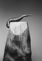 "Naganiacz". Fot. Małgorzata Fober.