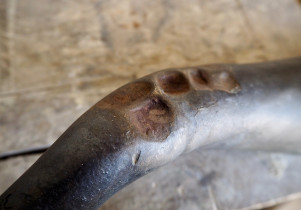 "Naganiacz" (detal) 2025.