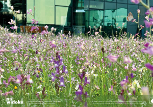 Dagmara Szmal „Zieleniec ASP – projekt ogrodu uwzględniającego potrzeby społeczności akademickiej."