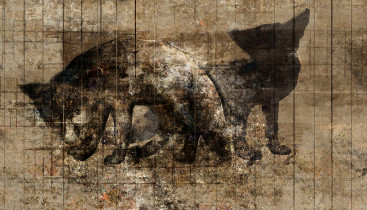 Dagmara Cieślica, Futro, druk cyfrowy,  2013