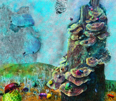 Dagmara Cieślica, Habitat 5, druk cyfrowy, 125,71 x 110 cm, 2015