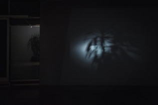 zły sen | (fragment wystawy) | Galeria ASP w Katowicach Rondo Sztuki | 2015