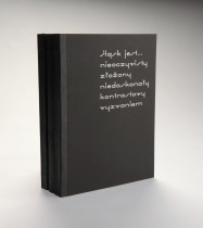 Nowi Ślązacy – miasto, dizajn, tożsamość