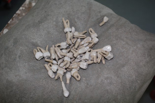 Marharyta Starostenko 