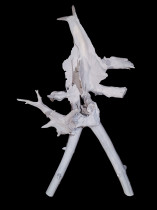 Kości księżyca, Anna Ostrzołek