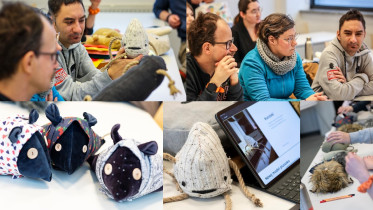 Prezentacja poduszek dla sp&oacute;łdzielni LUFT