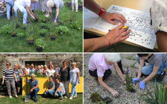 Projekt akcji promującej ogr&oacute;d społeczny w Dąbrowie G&oacute;rniczej (wsp&oacute;łpraca: Stowarzyszenie Civitas)