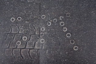 Patrycja Frejno, temat autorski (książka fotograficzna "Ślady")