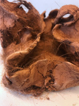 Amelia Dziedzic, temat: Naczynie w kontekście kultury, 2023