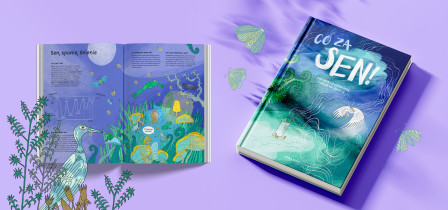 Kinga Klisz " Co za sen! Projekt ilustrowanej książki non-fiction na temat snu i śnienia"  Promotorka: dr Anna Machwic 