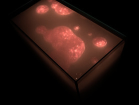 PORNO / wideoinstalacja  / Aga Piotrowska / 2013