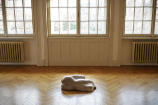 "Wyznanie" - Muzeum Miejskie w Krnovie, Czechy 2020.